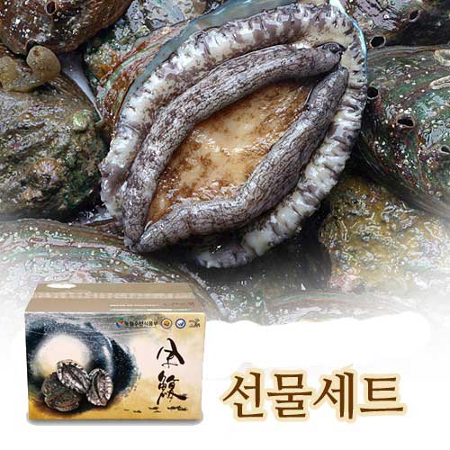 (E1210B)완도활전복 특선 V4호 (10미 850g)