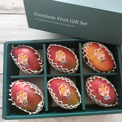 [더 망고] 프리미엄 애플망고 6과 선물세트