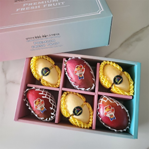 [더 망고] 프리미엄 망고혼합 6과 선물세트