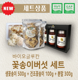 (NEW) 황금꽃송이버섯 종합선물세트(선물용 고급황금보자기포장 무료) 