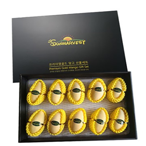 [더 망고] 프리미엄 골드망고 10과 선물세트