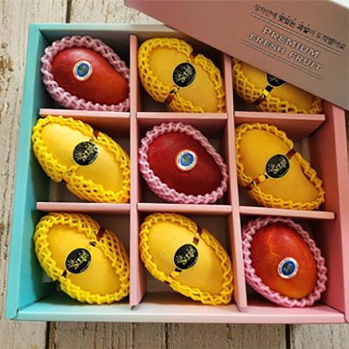 [더 망고] 프리미엄 망고혼합 9과 선물세트