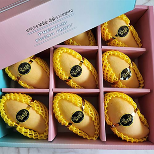 [더 망고] 프리미엄 골드망고 9과 선물세트
