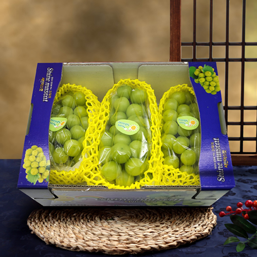 산지박스그대로 산골샤인머스켓 2kg내외 2~3수